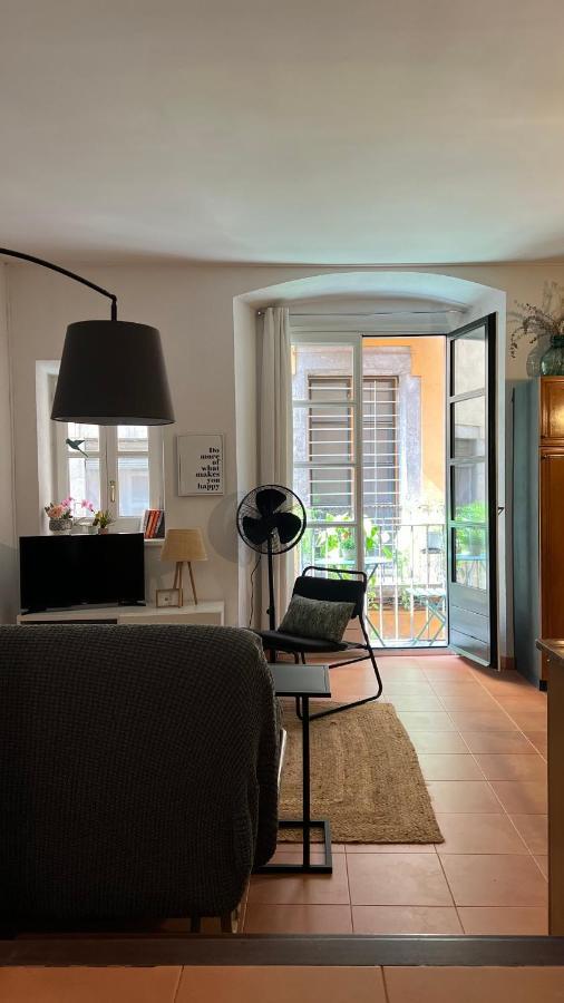 Apartamento Con Encanto Y Terraza En Barri Vell De Girona, El Cul De La Lleona Buitenkant foto