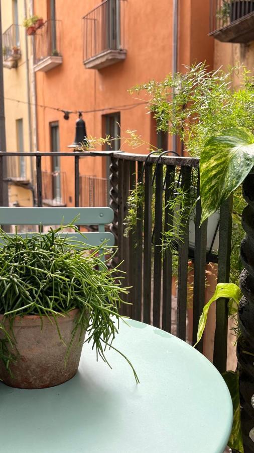 Apartamento Con Encanto Y Terraza En Barri Vell De Girona, El Cul De La Lleona Buitenkant foto